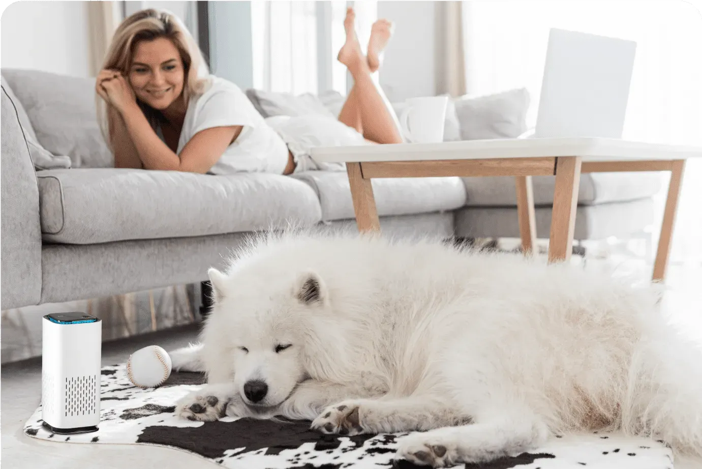 Purificador de Aire para Mascotas MAX™ : Elimina el olor a orina
