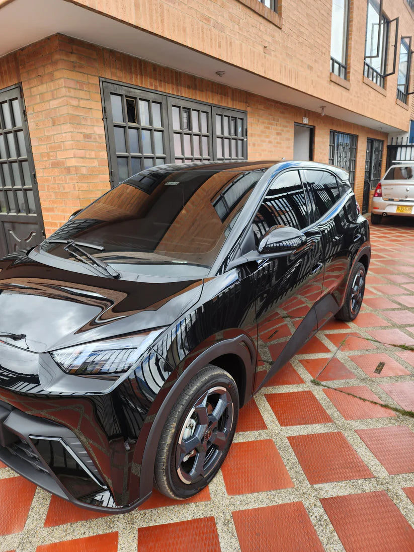 Porcelanizador De Pintura Para Vehiculos