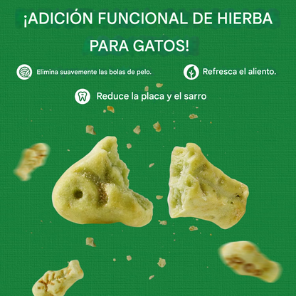 🐱 CATVIV – El snack que elimina las bolas de pelo de tu gato en solo 5 días y mejora su digestión